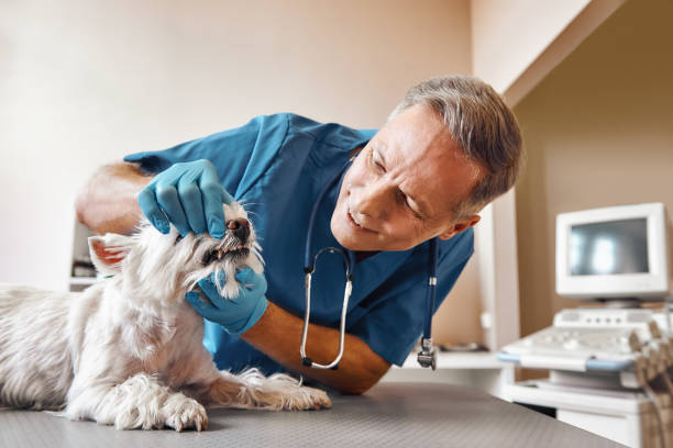 Best Emergency Broken Tooth Repair in Villa Rica, GA